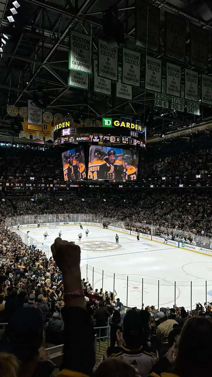 bruins fan