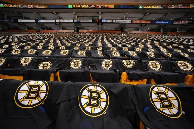 bruins fan