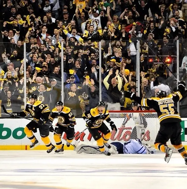 bruins fan