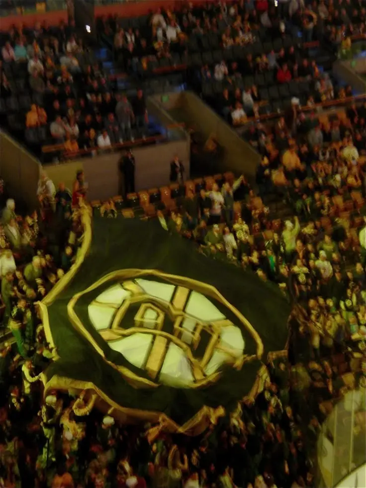 bruins fan
