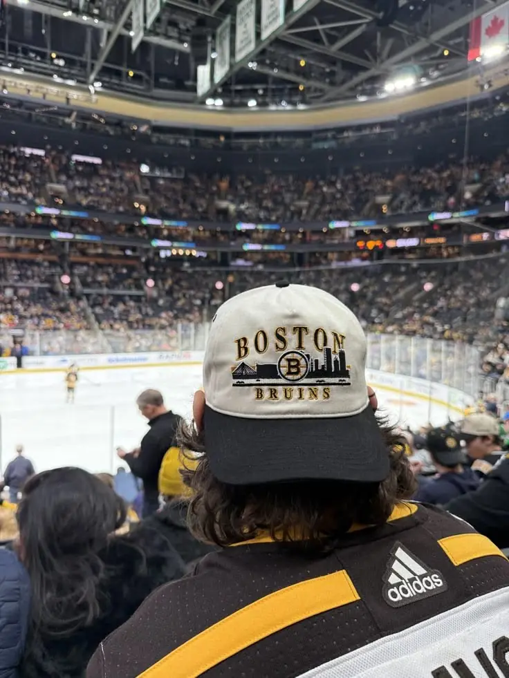 bruins fan