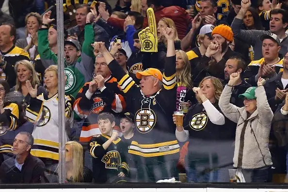 bruins fan