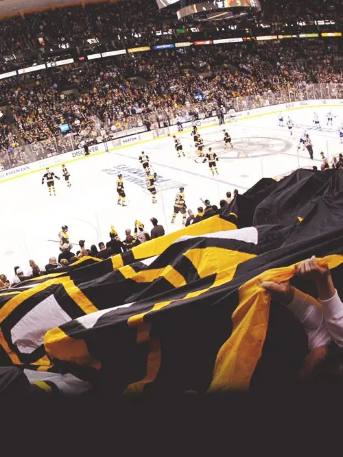 bruins fan