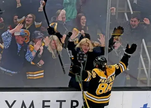bruins fan