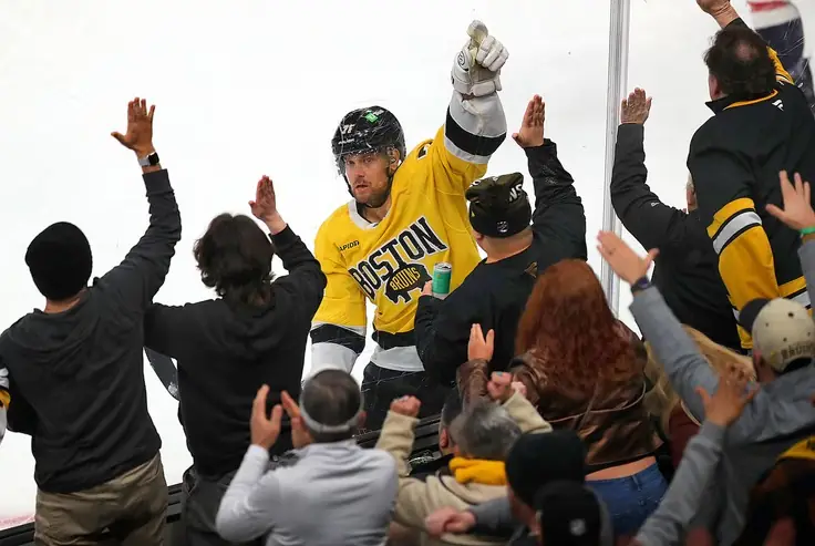 bruins fan