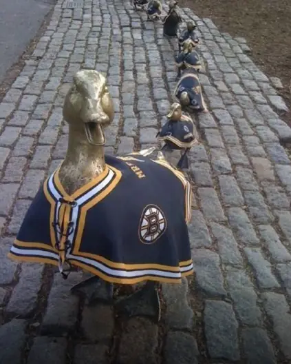 bruins fan