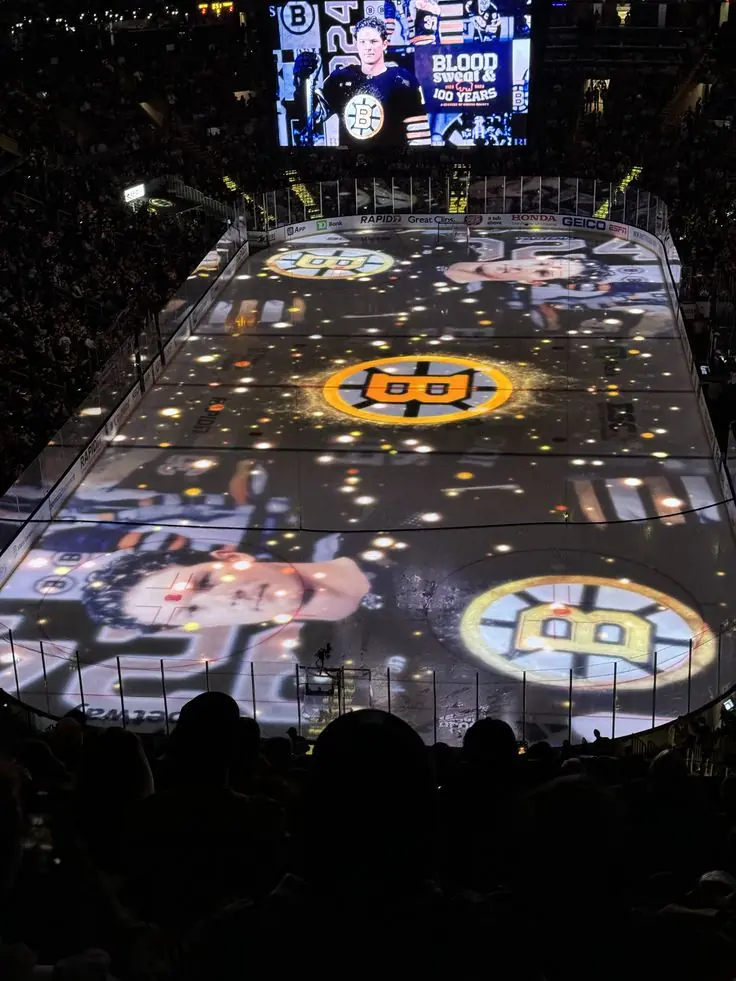 bruins fan