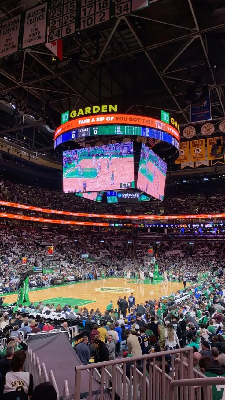 celtics fan
