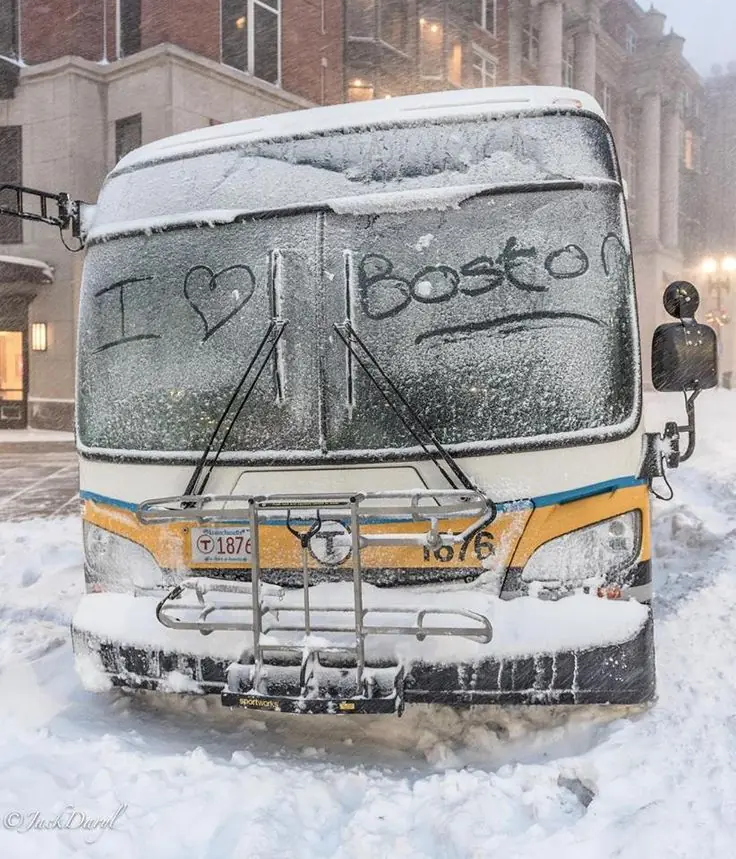 boston fans