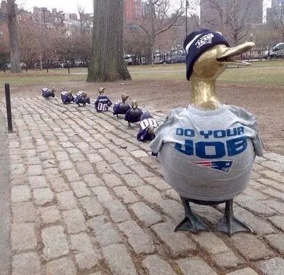 pats fans