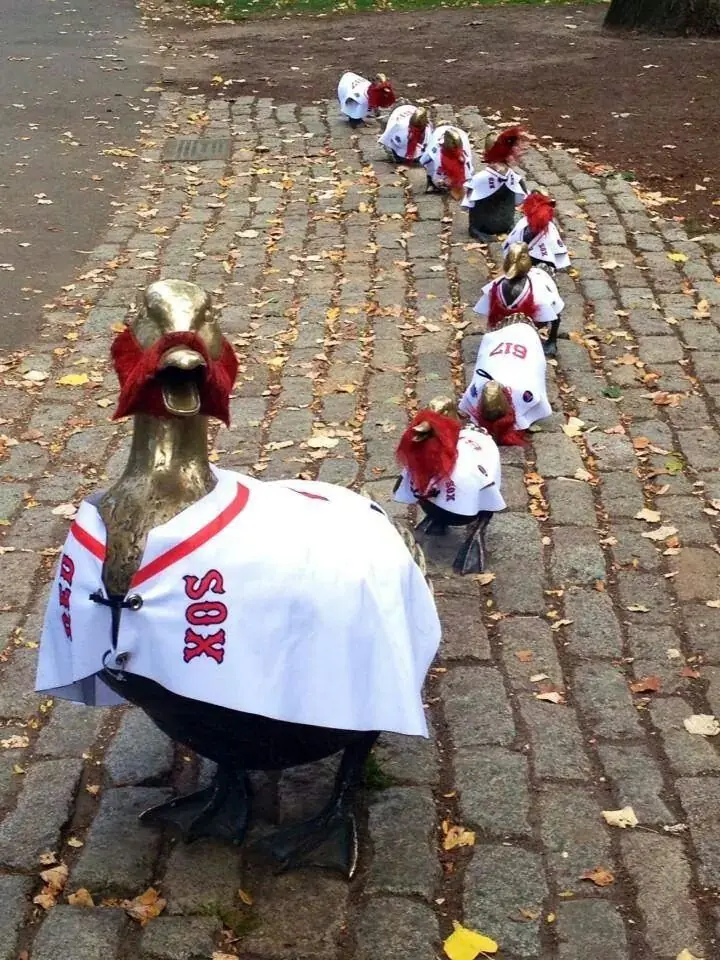 red sox fan